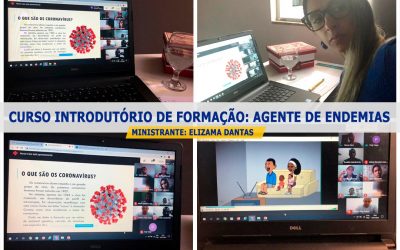 Curso Introdutório de Formação para Agentes de Endemias- on line . Buerarema, Bahia